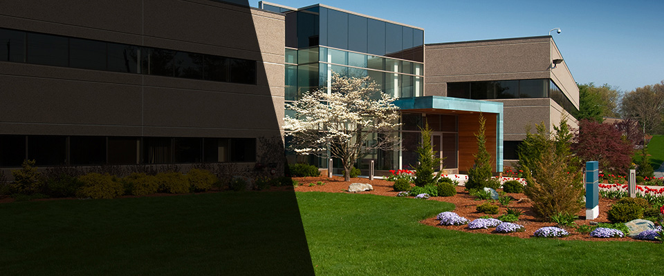 Mountlake Terrace Landscapers