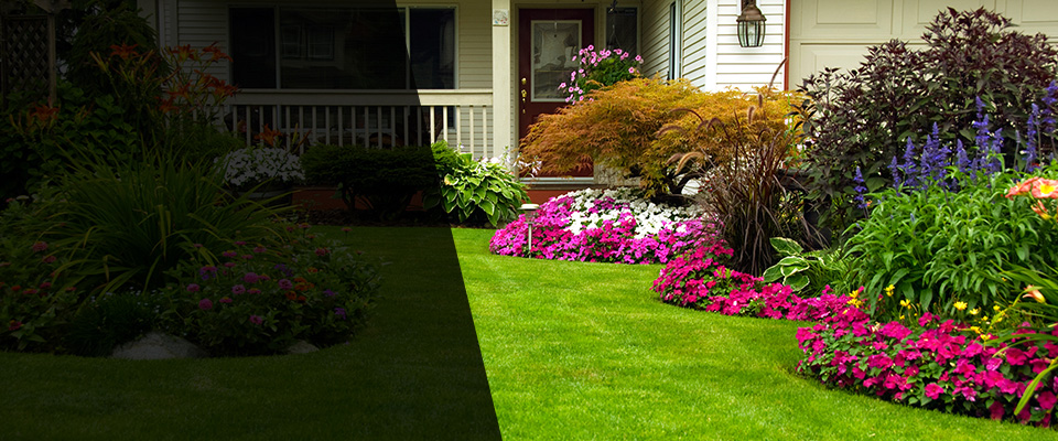 Mountlake Terrace Landscapers